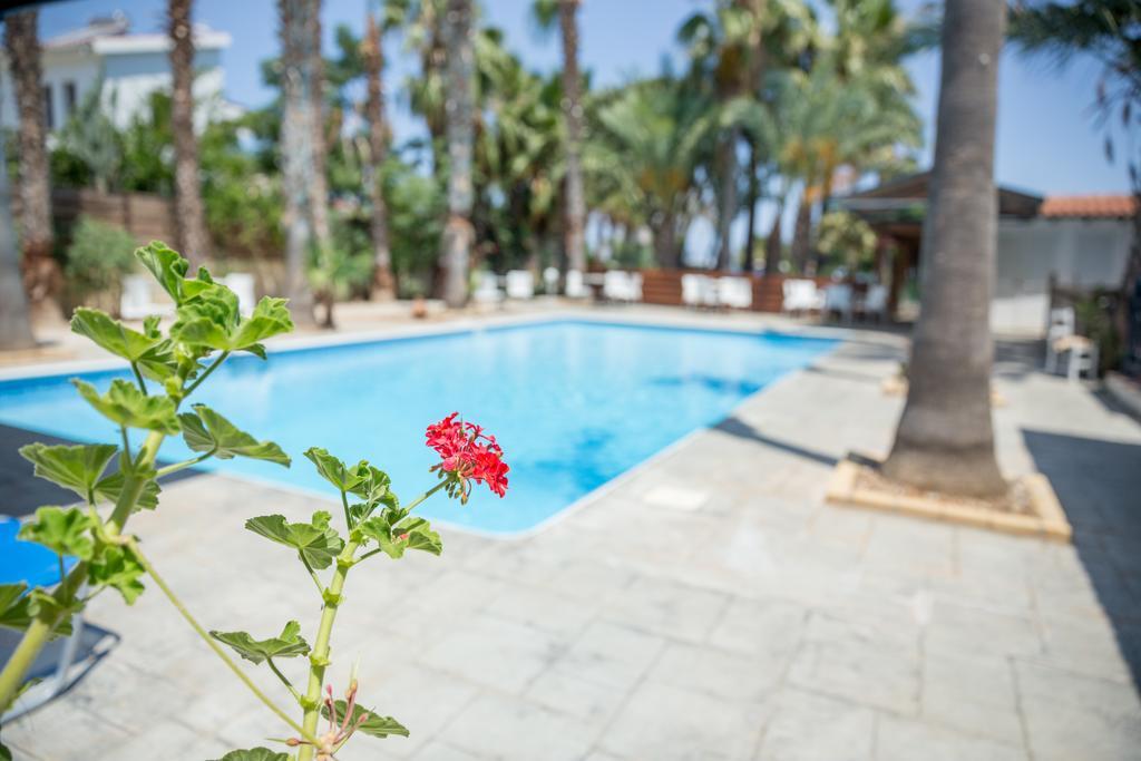 Periyiali Apartments Polis Dış mekan fotoğraf